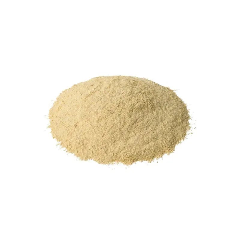 TRS Garlic Powder - 100g-Global Food Hub