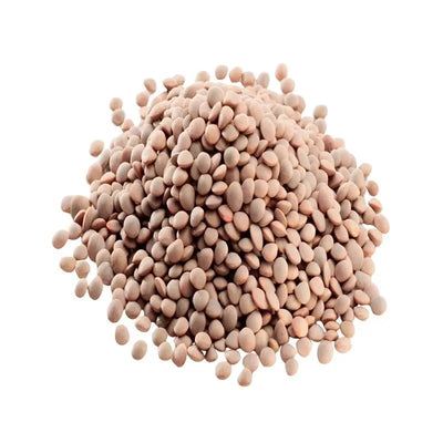 TRS Whole Brown Lentils - 2Kgs-Global Food Hub